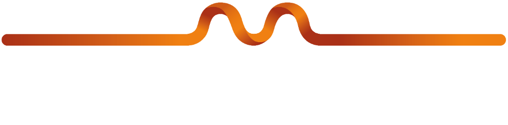 Mees van den Brink